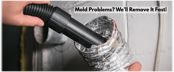 Air Duct Mold Removal in Dallas