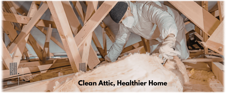 Attic Cleaning Dallas