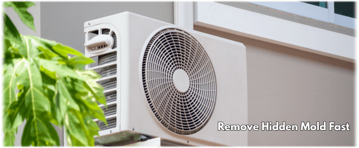 HVAC Mold Removal Dallas